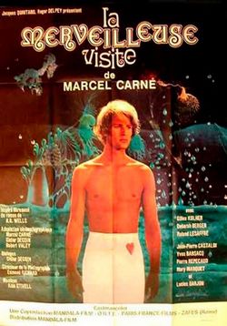 Чудесный визит — La Merveilleuse Visite (1974) 