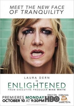 Просветленная (Просвещённая) — Enlightened (2010-2012) 1,2 сезоны