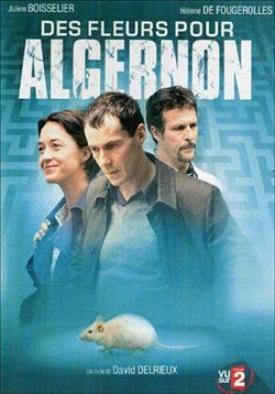 Цветы для Алджернона — Des fleurs pour Algernon (2006)