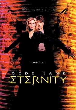 Пароль: Вечность — Code Name: Eternity (1999-2000)