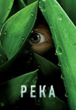 Река — The River (2012)