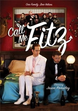Зовите меня Фитц — Call Me Fitz (2010-2013) 1,2,3,4 сезоны